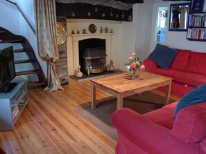 Télévision, cheminée, lecteur de DVD, livres