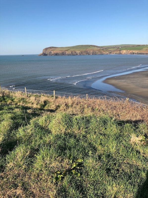 Beach - COMFORTABLE, TRANQUIL, HOUSE ON RIVER TEIFI  LARGE GARDEN, CENTRAL, FREE PARKING (Cardigan)