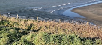 COMFORTABLE, TRANQUIL, HOUSE ON RIVER TEIFI LARGE GARDEN, CENTRAL, FREE PARKING