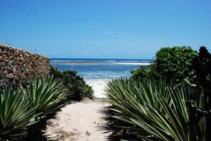 A pathway leading to a beach with a clear view of the ocean. - We just would like to gift you with a moment of life, throughout the journey. (Watamu)