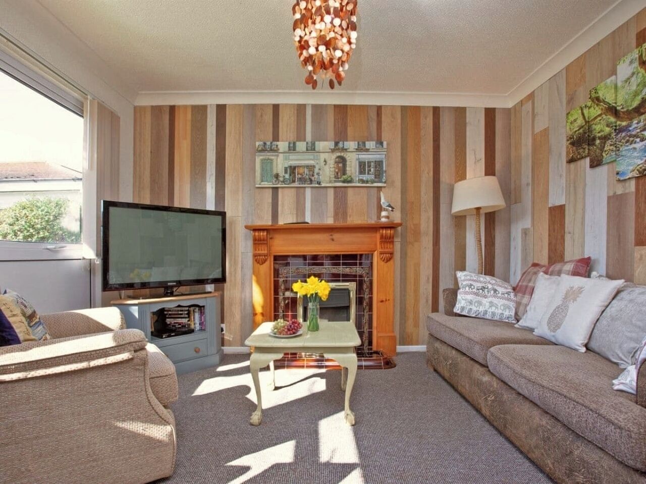 TV, DVD player, books, video library