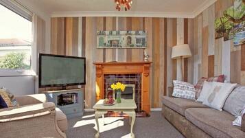 TV, DVD player, books, video library