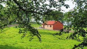 Una casa di legno rossa con tetto spiovente, immersa in un prato verde rigoglioso e parzialmente nascosta dai rami degli alberi.