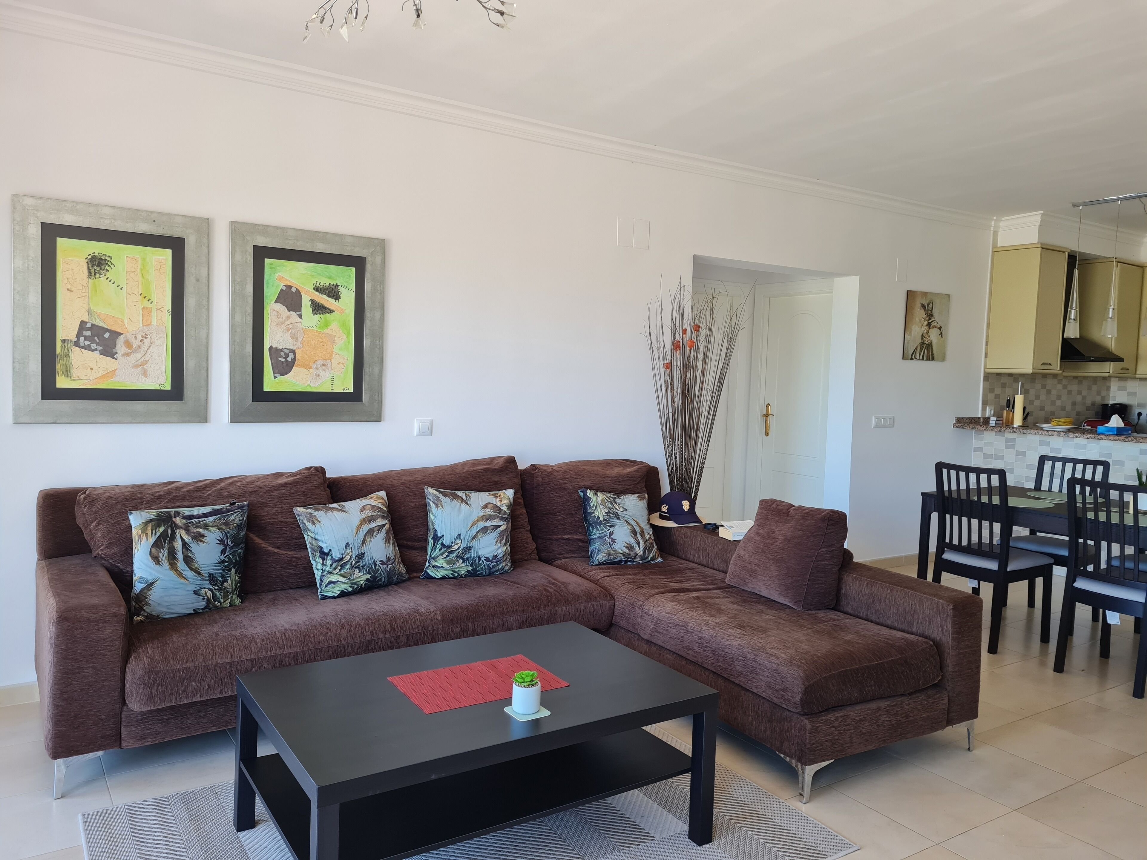 Smart TV, chimenea, reproductor de DVD y libros 