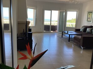 Smart TV, chimenea, reproductor de DVD y libros 