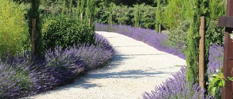 Overnattingsstedets uteområder