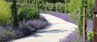 Roussillon:Large Provencal villa in a quiet location-Private pool