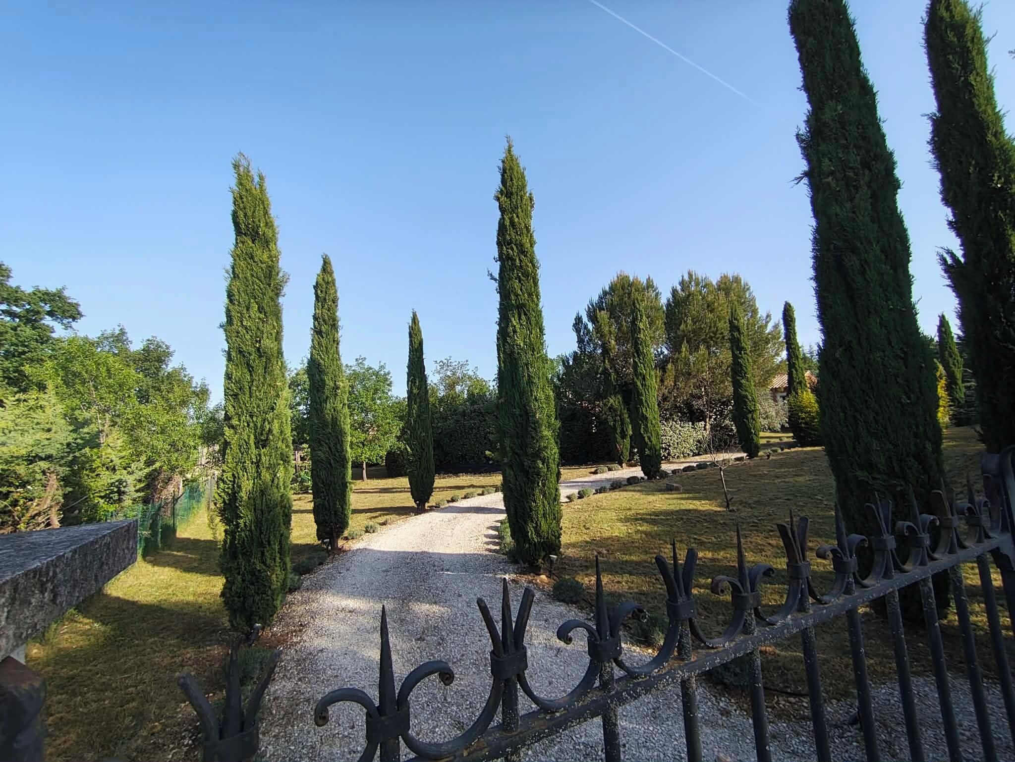 A gravel pathway flanked by tall, narrow trees, leading to a building with a stone wall.