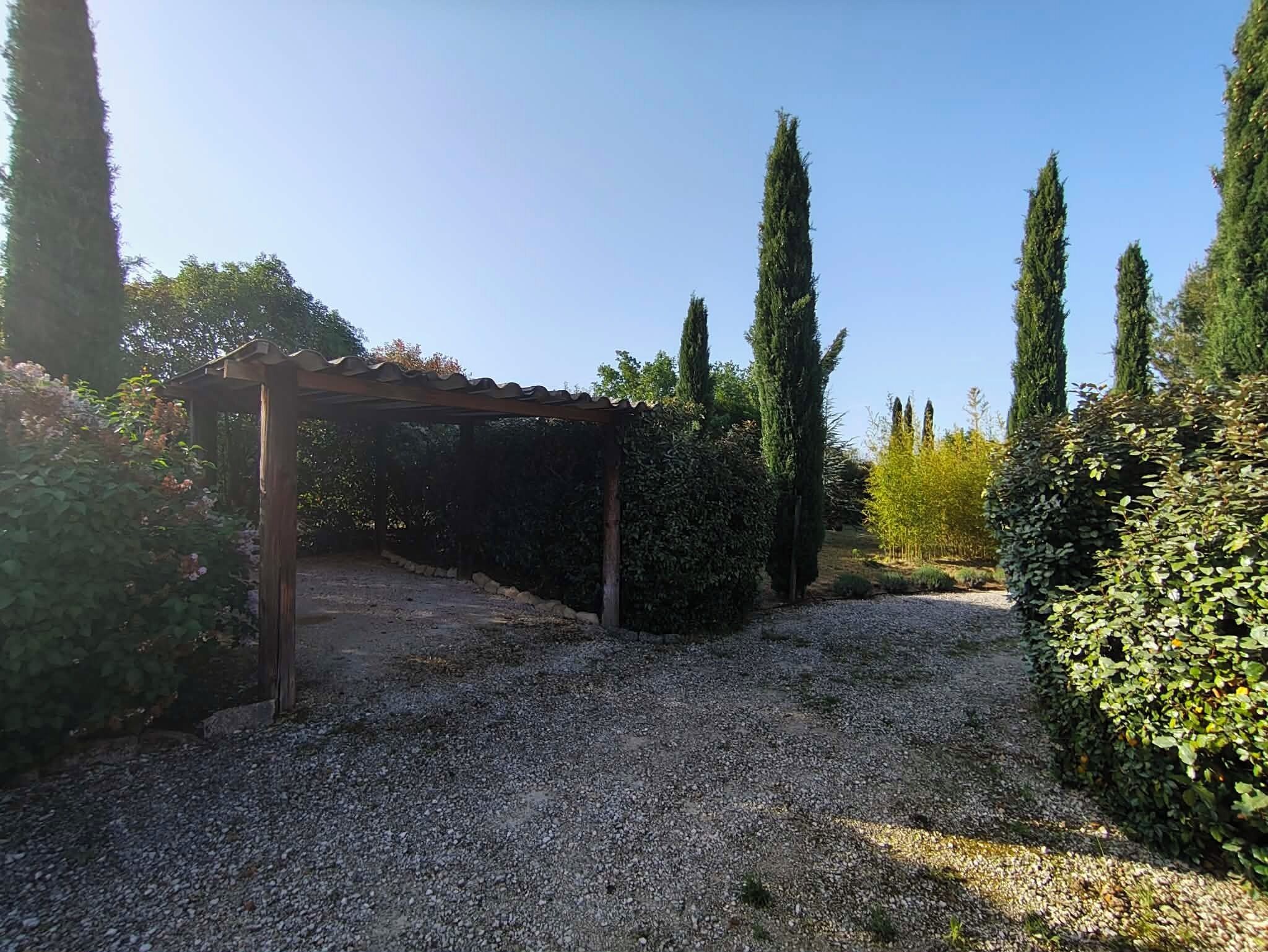 A gravel path leading to a wooden pergola in a garden with tall cypress trees and dense shrubbery.