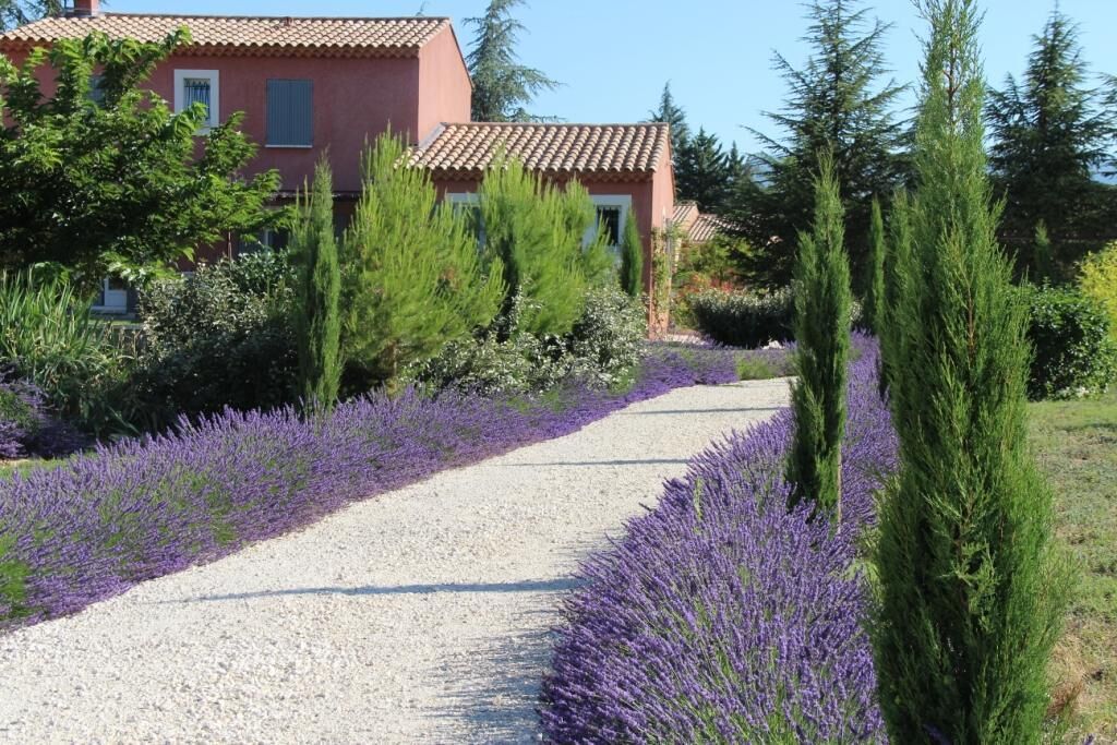 A gravel path flanked by lavender bushes and tall evergreen trees, leading to a building with a red facade and a tiled roof.