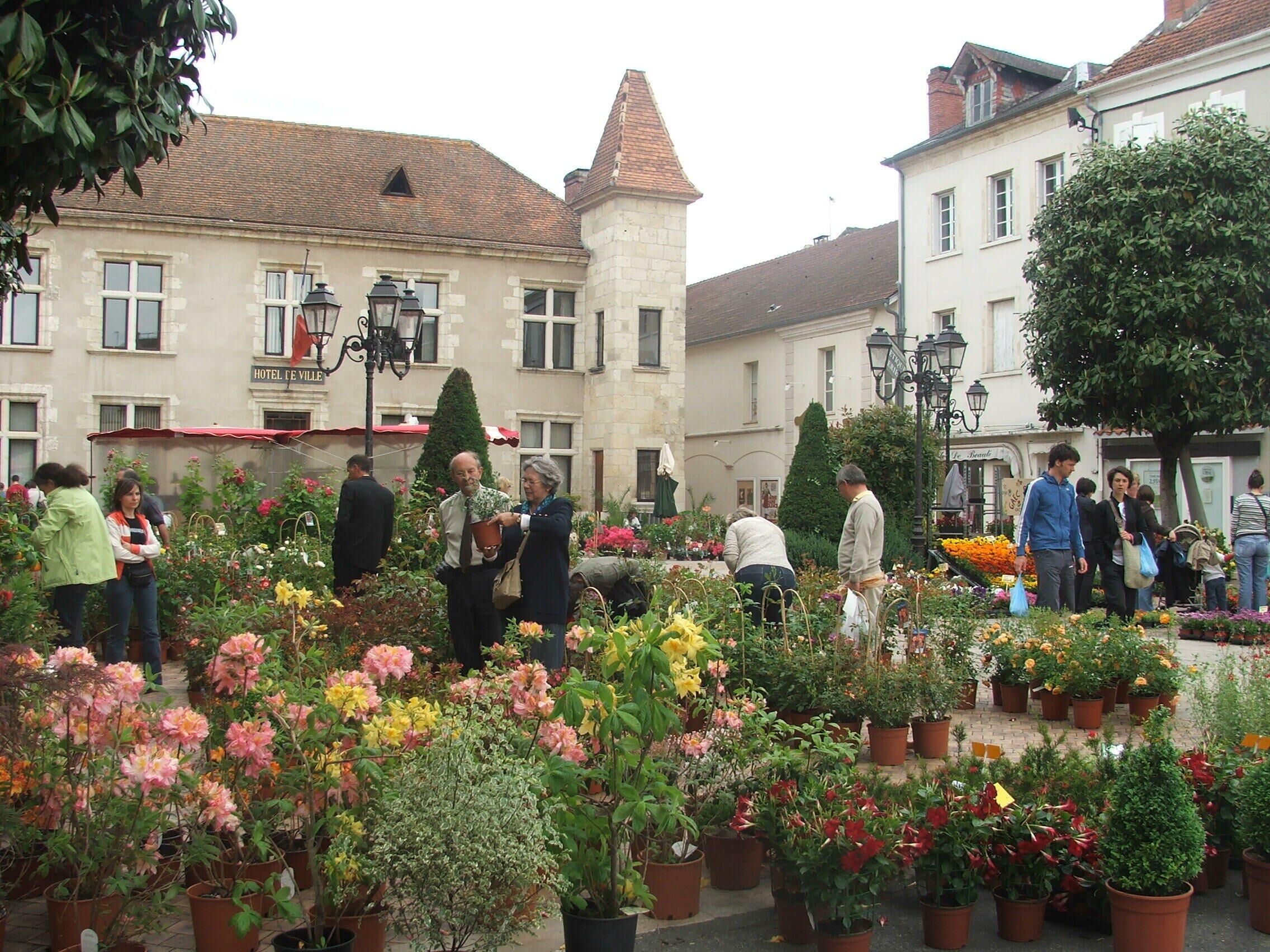 A courtyard with potted plants and flowers, surrounded by buildings with stone facades and traditional architecture.
