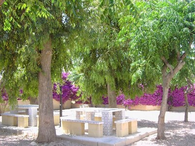 Torrevieja, 360 days of sunshine to enjoy; spacious apartment, swimming pools and sea, Nl.