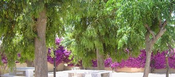 Torrevieja, 360 days of sunshine to enjoy; spacious apartment, swimming pools and sea, Nl.