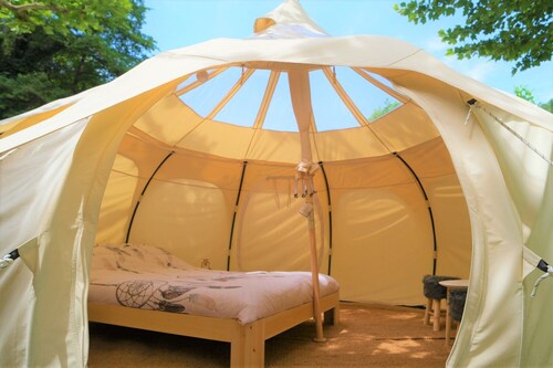 Unusual chestnut by the river