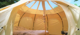 Unusual chestnut by the river