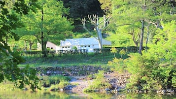 Área da propriedade