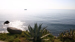 Paisaje costero con una gran roca, plantas de agave y un barco lejano en el agua.