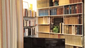 Une pièce avec un mur en briques, une bibliothèque remplie de livres, un téléviseur posé sur un meuble et un rideau à rayures.