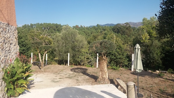 Overnattingsstedets uteområder