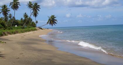 Villa mit großem Pool, abgeschirmt Terrasse mit Blick auf Karibik.
