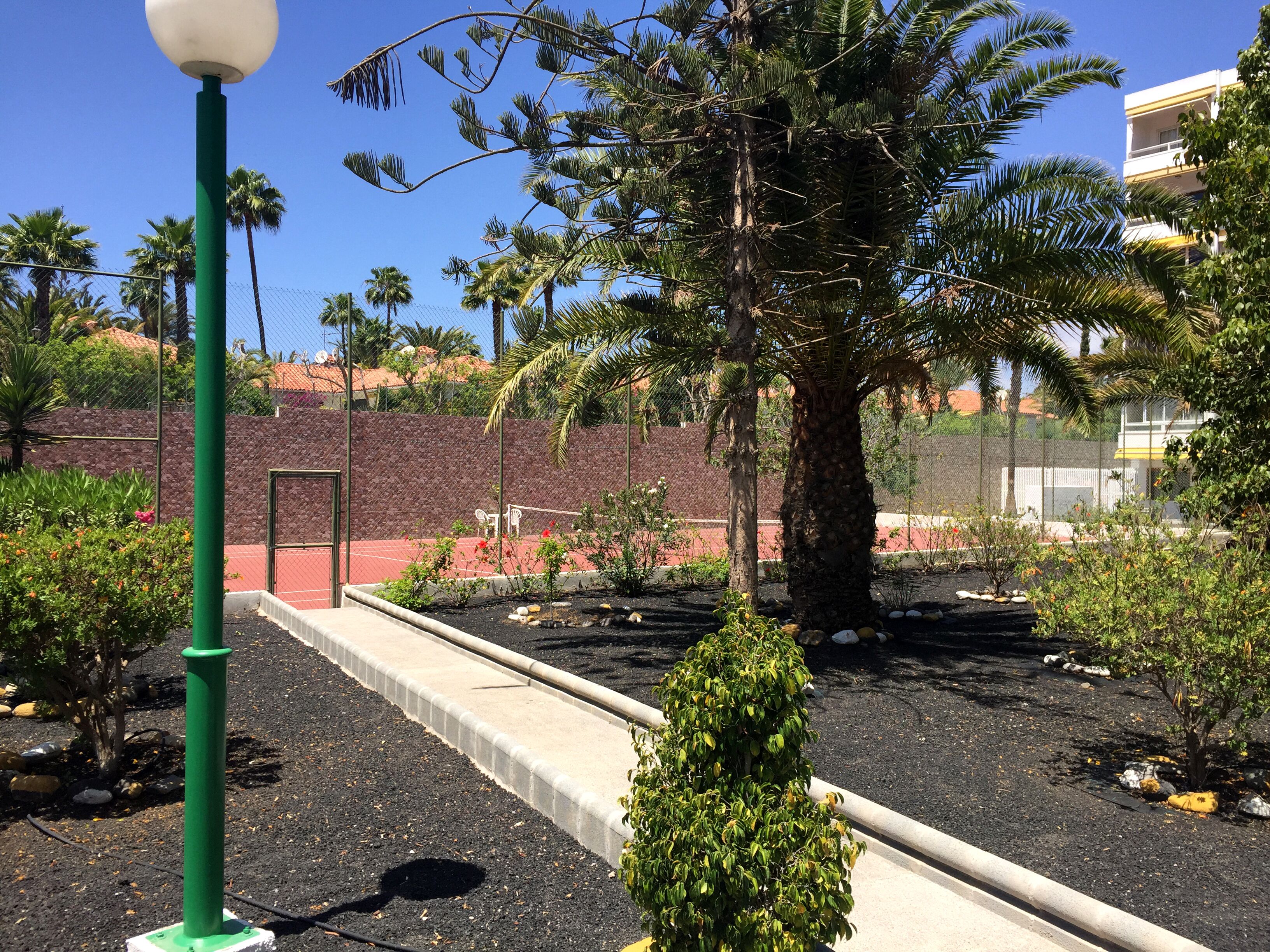 A landscaped garden with a variety of plants, a palm tree, and a street lamp.