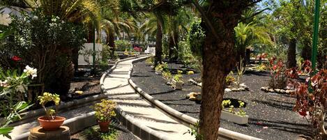 Terrein van de accommodatie