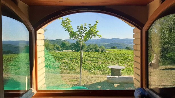 A room with a large arched window overlooking a vineyard and distant hills. - For Nature Lovers ... (Saint-André-D'olérargues)