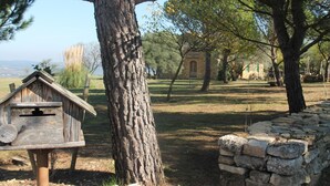 A rustic wooden birdhouse and a stone wall in a park with trees and a distant building. - For Nature Lovers ... (Saint-André-D'olérargues)