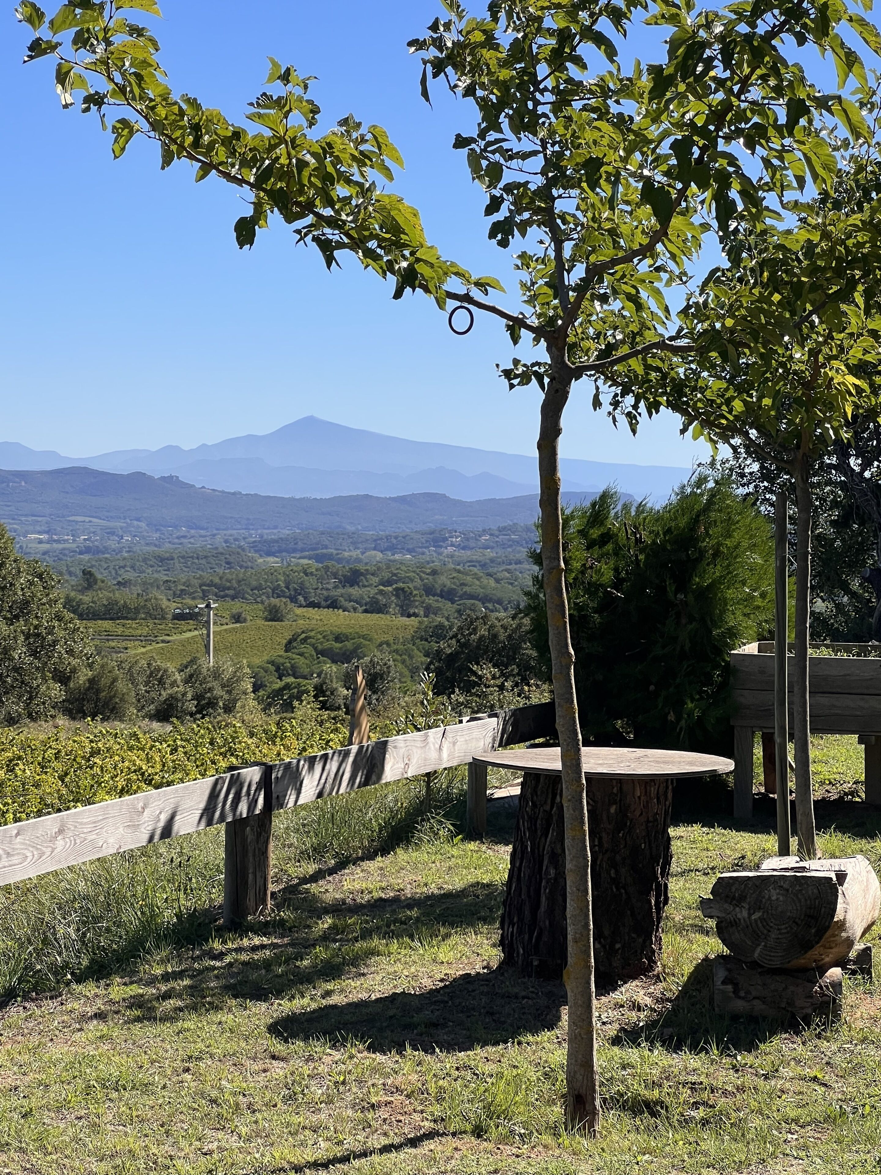 A scenic outdoor area with a wooden fence, a table, and a tree.