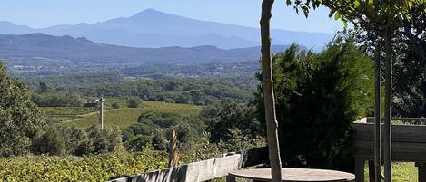 A scenic outdoor area with a wooden fence, a table, and a tree.