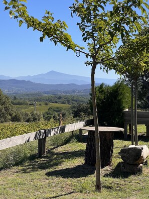 Property grounds - For Nature Lovers ... (Saint-André-D'olérargues)