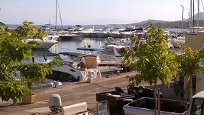 Un puerto deportivo con barcos amarrados, cielo despejado y vegetación en primer plano.