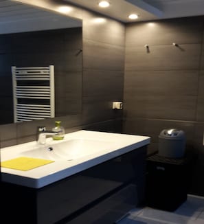 Shower, hair dryer