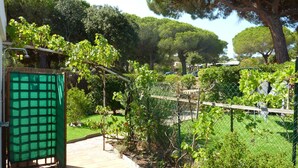 Un jardín con un pérgola, un banco de madera y una estructura verde.
