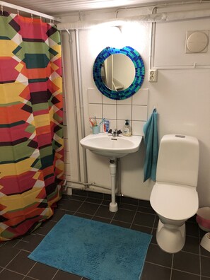 Kylpyhuoneessa on valkoinen pesuallas, wc-istuin, värikäs suihkuverho, sininen matto ja peili, jonka kehys on koristeltu mosaiikkikuviolla.