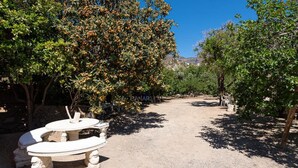 A garden with a stone table and benches, surrounded by trees and a clear sky.