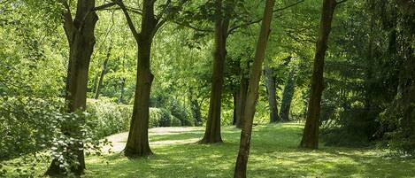 Terrein van de accommodatie