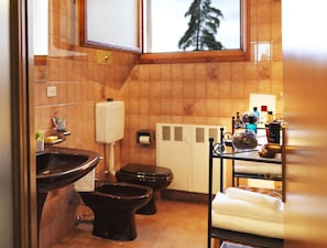 Shower, hair dryer, bidet, towels