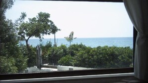 A window view of a coastal area with trees and a clear sky.