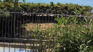 A coastal view with a metal fence, greenery, and a clear sky.