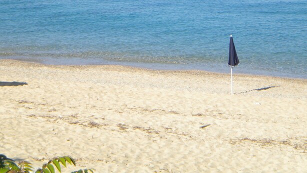 A beach with a single umbrella and a clear view of the ocean.