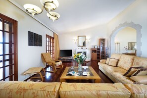 スマートテレビ、暖炉、テレビゲーム、DVD プレーヤー