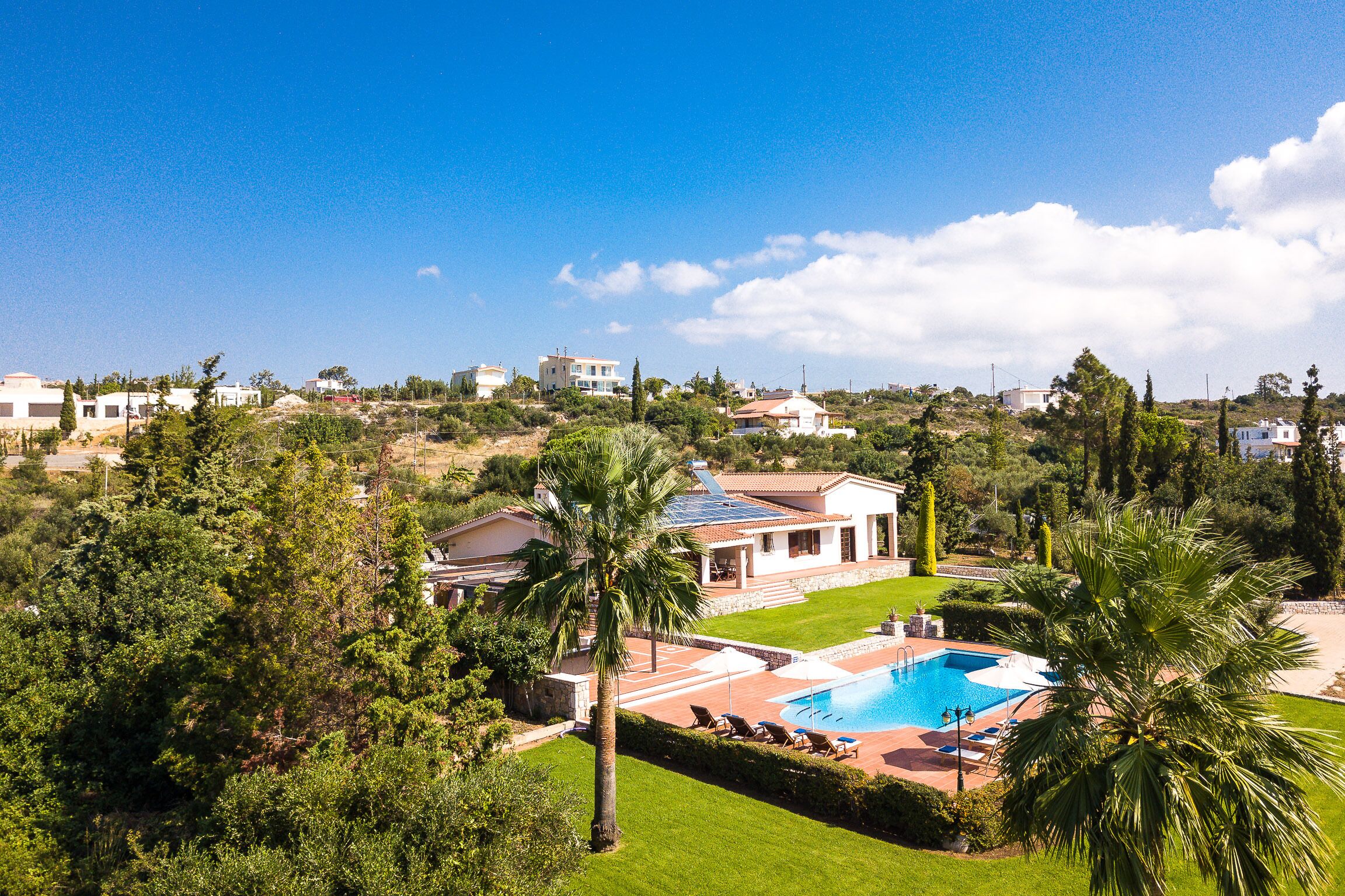 A residential area with a swimming pool, palm trees, and houses.