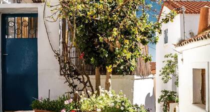 Secluded Seaview Greek House, Walking distance to Beaches. Perfect for Families