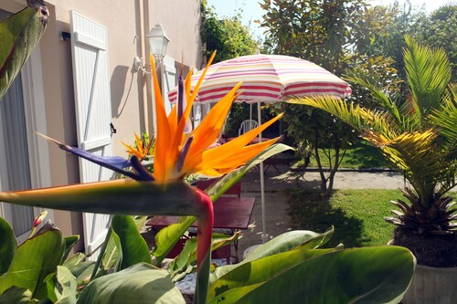 Geräumige Erdgeschosswohnung mit umzäuntem Garten in Südlage