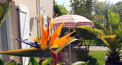 Geräumige Erdgeschosswohnung mit umzäuntem Garten in Südlage