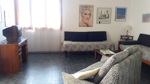 Un salon avec un canapé, un téléviseur posé sur un meuble en bois et un divan à motifs.