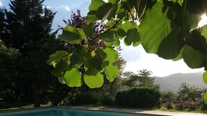 Ein klares, blaues Schwimmbecken, umgeben von Steinplatten, mit üppiger Bepflanzung und Bäumen im Hintergrund.