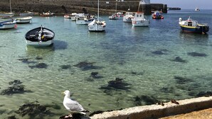 A harbor with multiple boats docked, clear water, and a seagull on a concrete ledge.