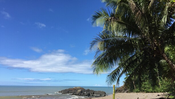 Ein Strand mit einer Palme, Felsen und ruhiger See.